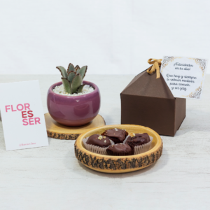 Trufas y suculenta